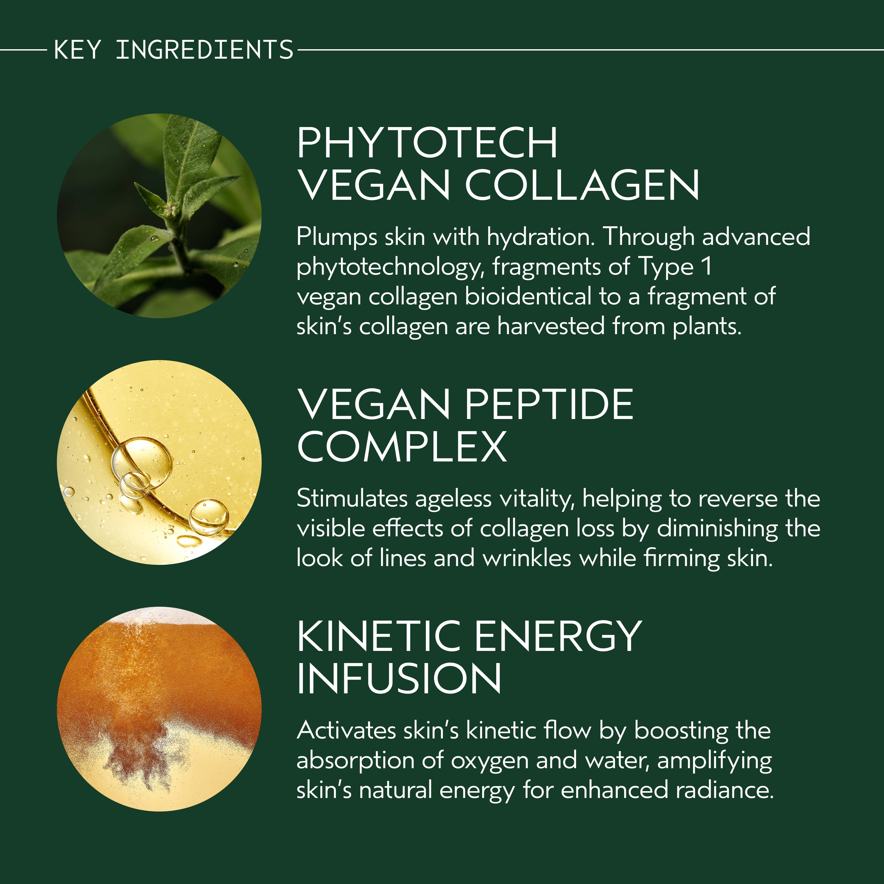 Advanced Botanical Kinetics Revitalizing Essence Lotion