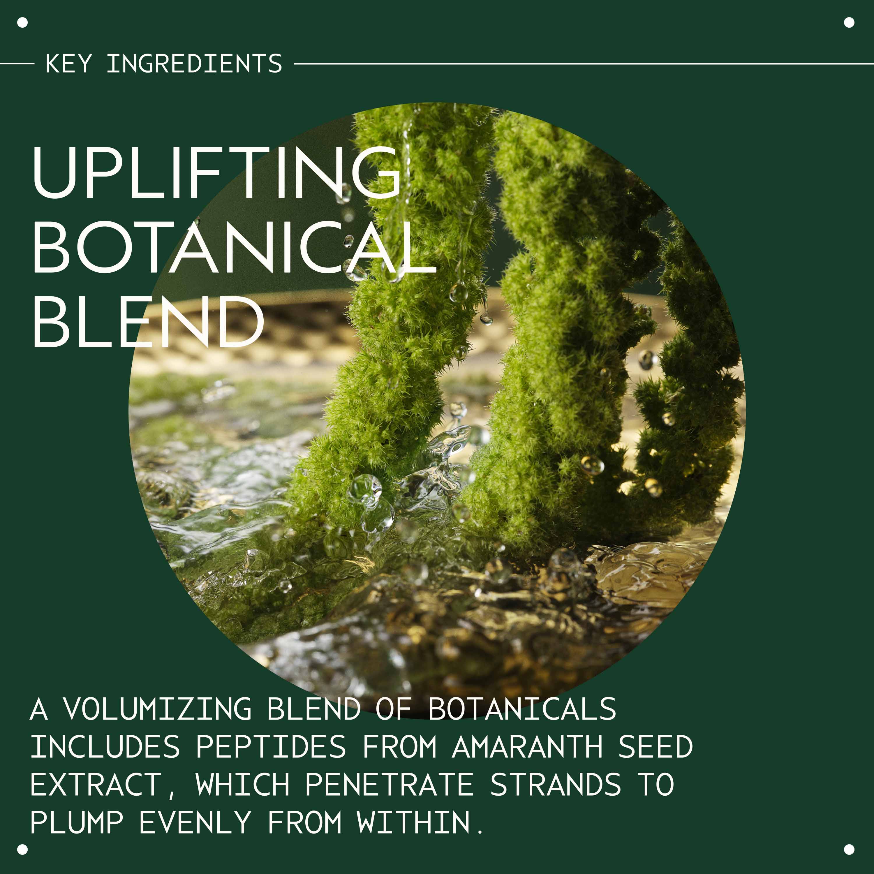 Pure Abundance Volumizing Shampoo