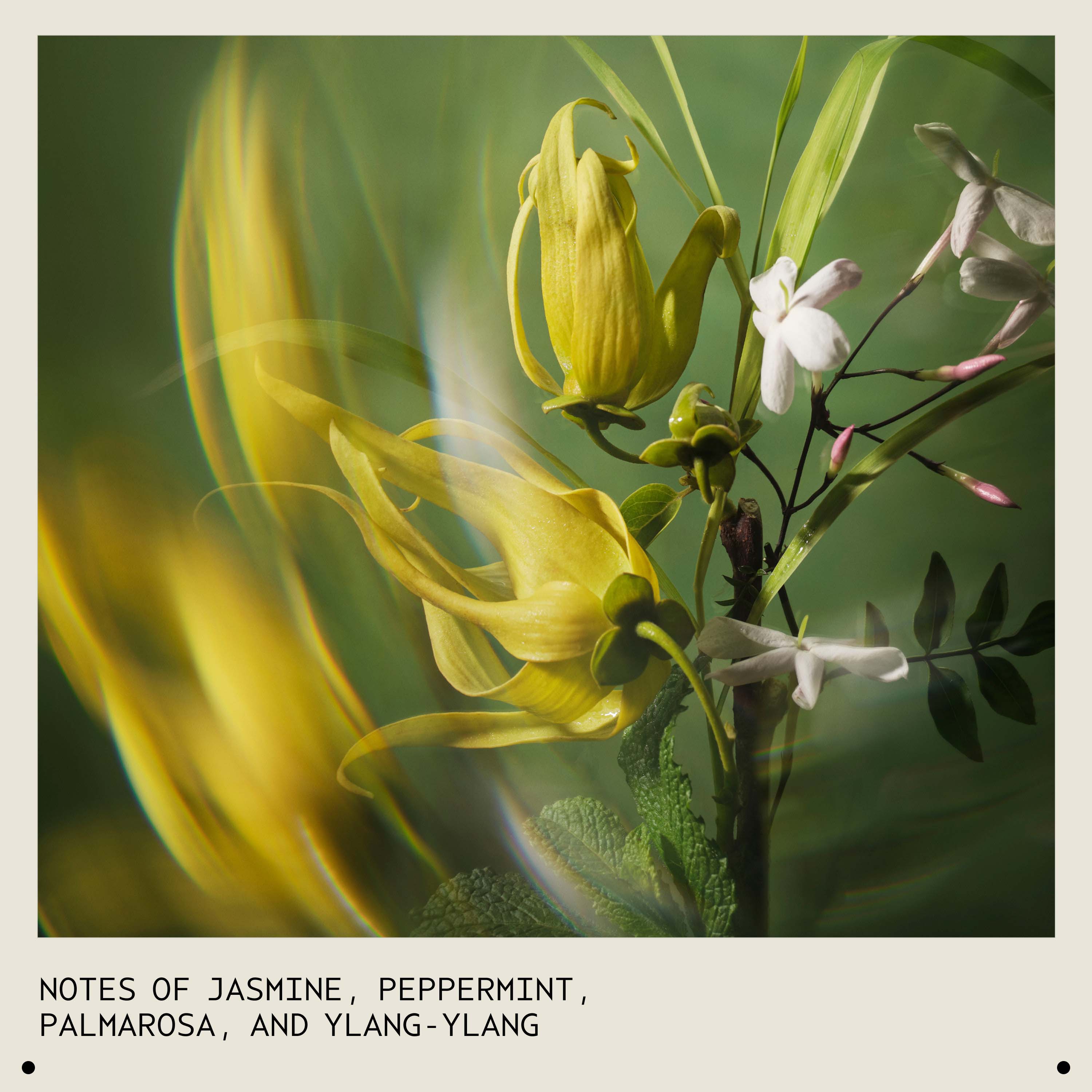 Pure Abundance Volumizing Shampoo