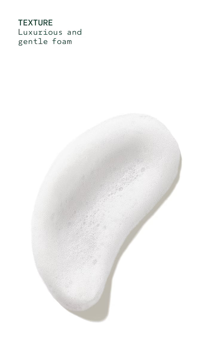 Rosemary Mint Foaming Hand Wash
