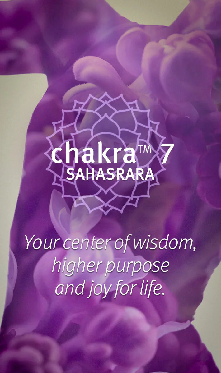 chakra™ 7 balancing body mist wisdom