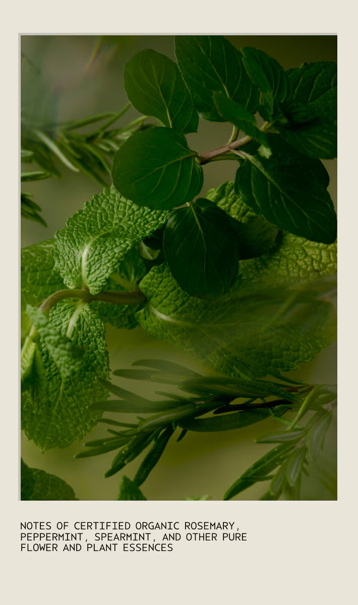 Rosemary Mint Body Lotion