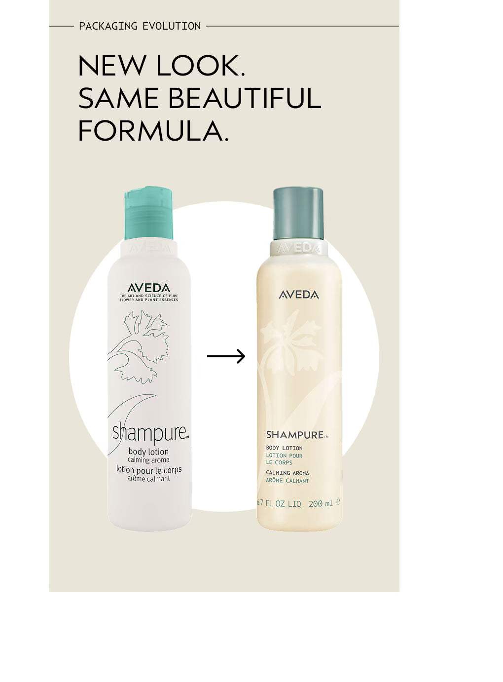 Shampure™ Body Lotion