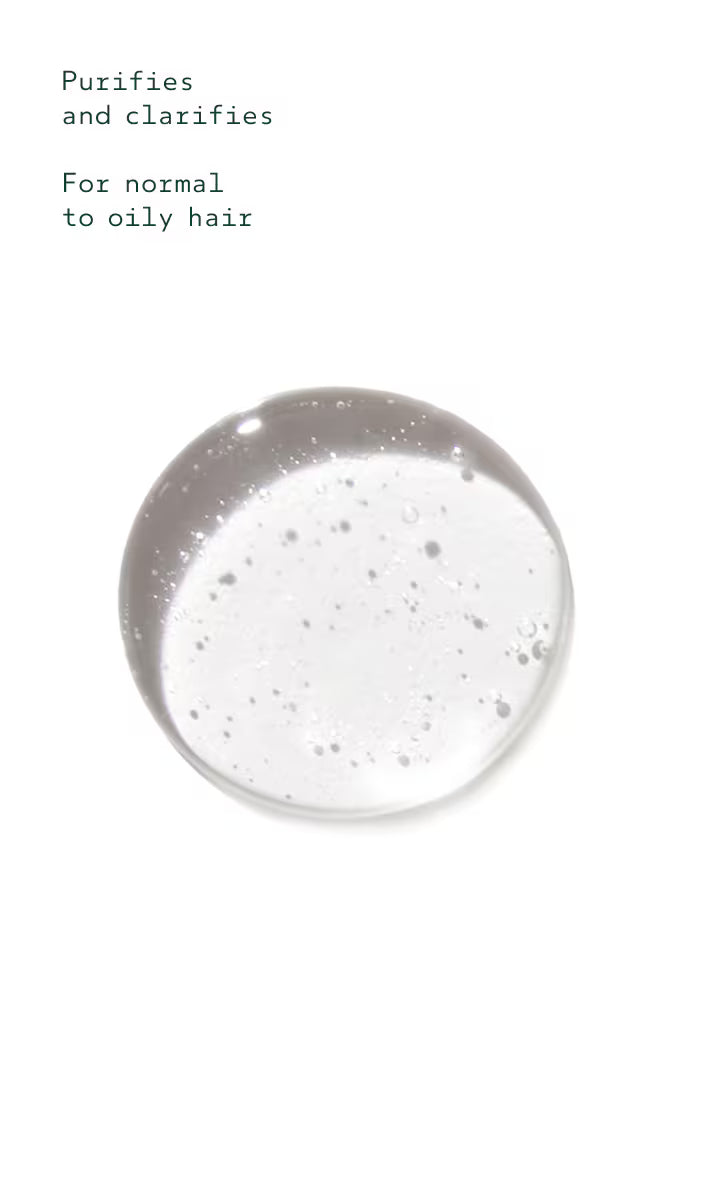 Rosemary Mint Purifying Shampoo