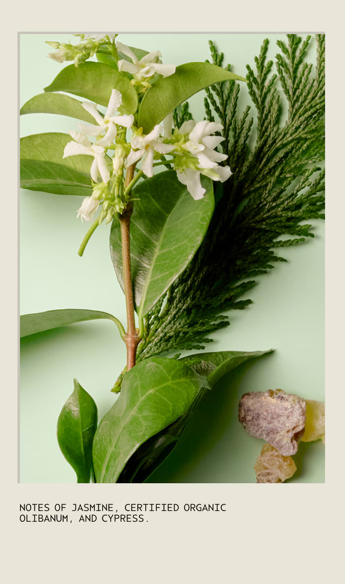 Sap Moss Weightless Hydration Conditioner