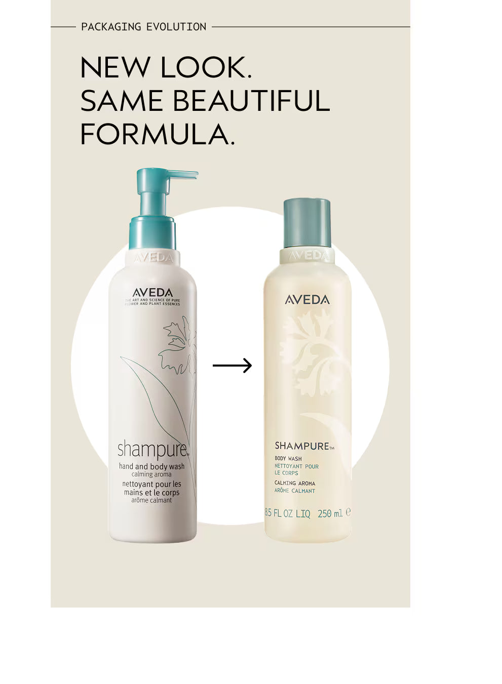 Shampure™ Body Wash
